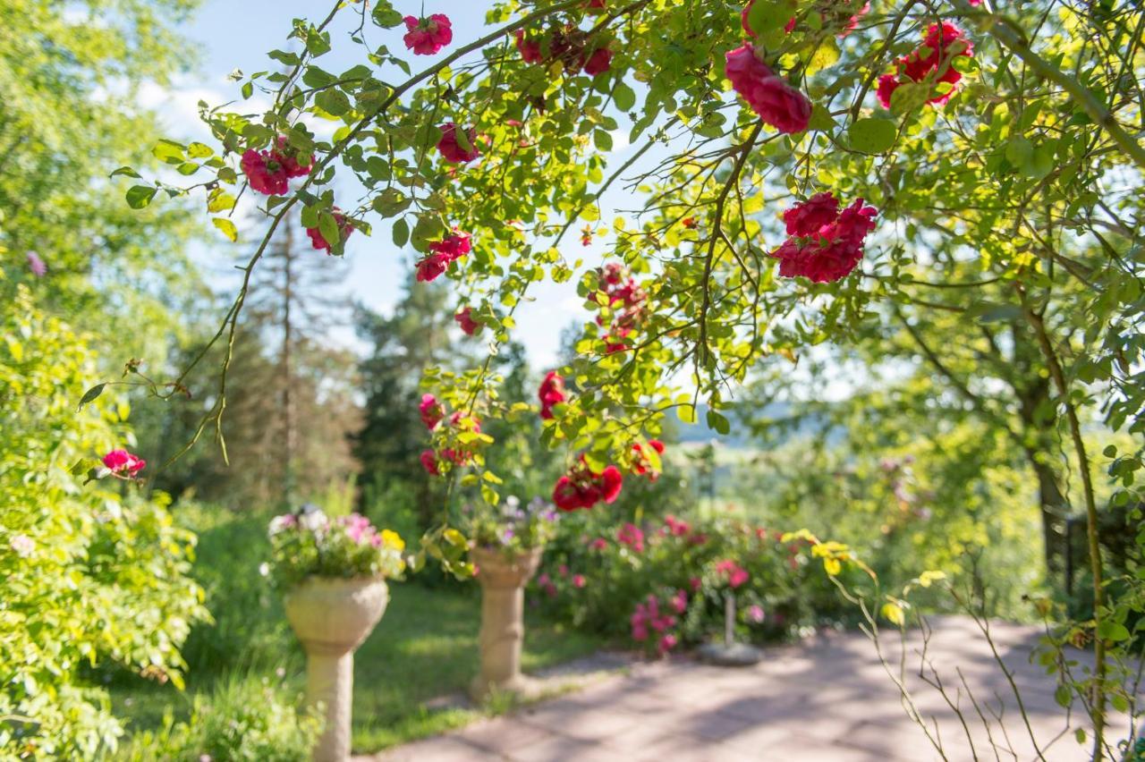 Ferienhaeuschen Sans Pareille Bei Bayreuth Villa Hartmannsreuth Екстериор снимка